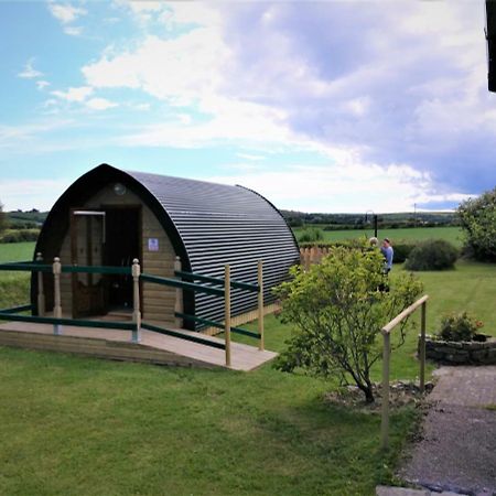 Shanagarry / Ballycotton Glamping Pod Cork Exterior foto